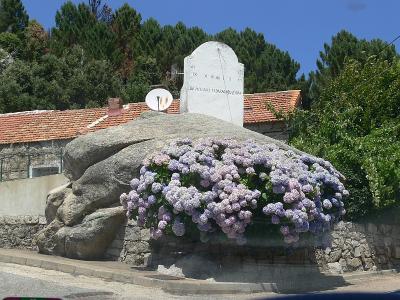 hortensia